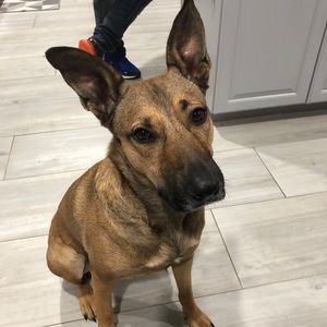 Meet your Posher, Janet